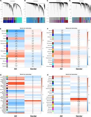 Unearthing of Key Genes Driving the Pathogenesis of Alzheimer’s Disease via Bioinformatics